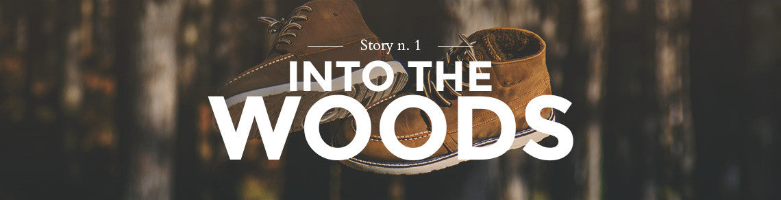 Story n. I - Into The Woods