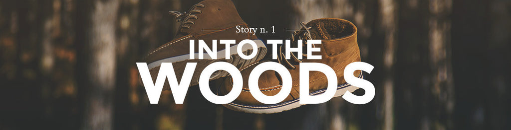 Story n. 1 - Into The Woods