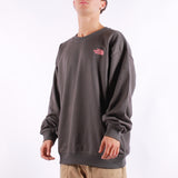 The North Face - U Expedition Celebration Oversized Crew - Anthracite Grey