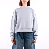 The North Face - W Jaida Crew - Frost Grey